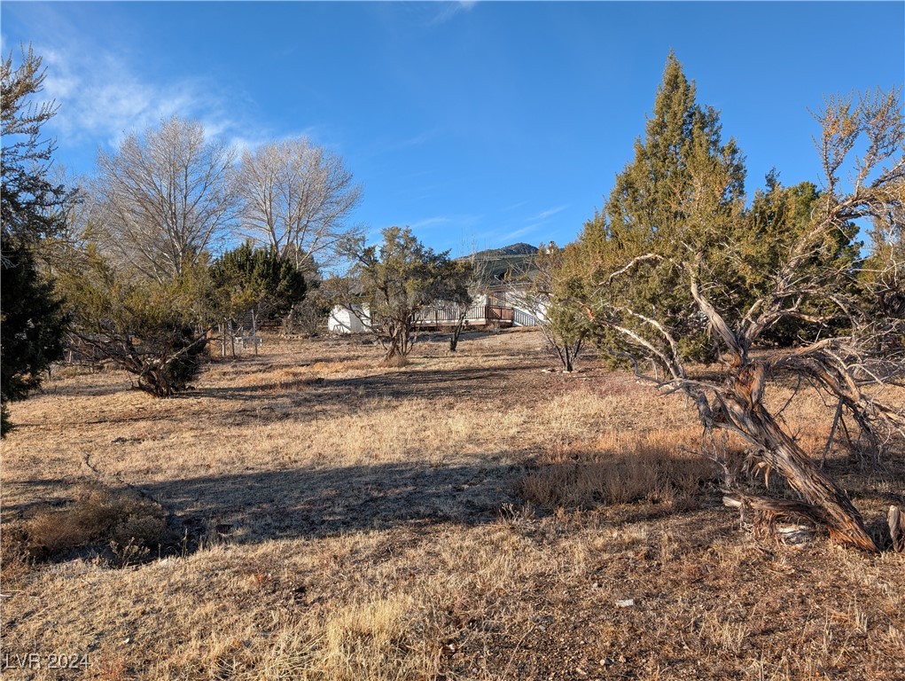 8 Franks Road Pioche, NV 89043 - Photo 4 of 29 Half Acre!