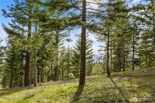 $179,000 | -xxx Xxx Game Trail Road, Cle Elum, WA 98922