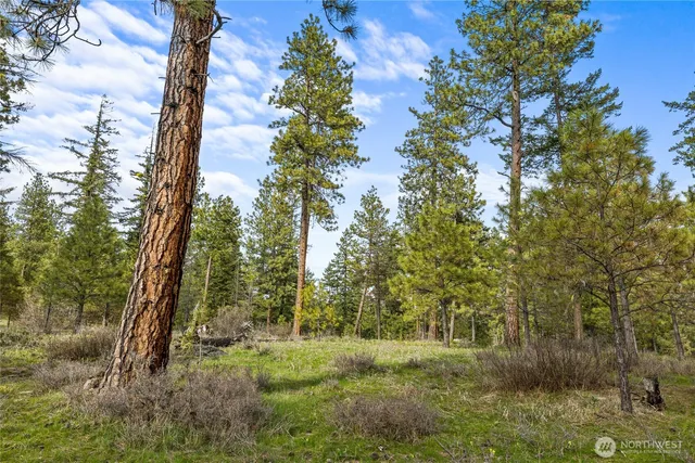 $179,000 | -xxx Xxx Game Trail Road, Cle Elum, WA 98922