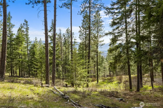 $179,000 | -xxx Xxx Game Trail Road, Cle Elum, WA 98922