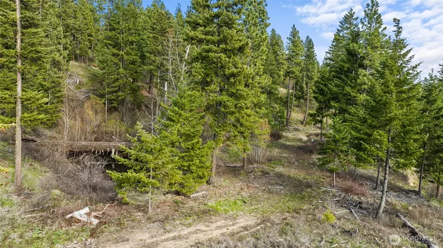 $179,000 | -xxx Xxx Game Trail Road, Cle Elum, WA 98922
