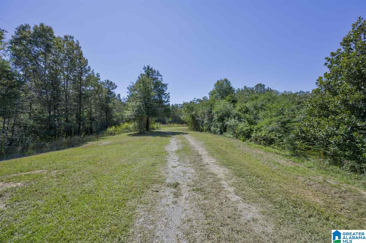 7375 Narrows Road Pinson, AL 35126 - Photo 17 of 38