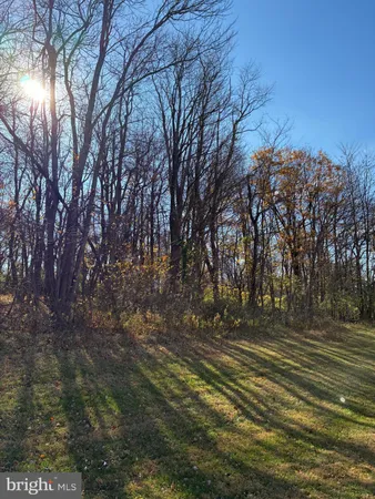 a view of outdoor space with trees