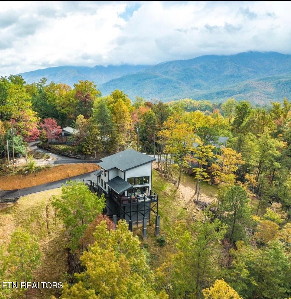 1113 Mathis Hollow Road Gatlinburg, TN 37738 - Photo 2 of 52