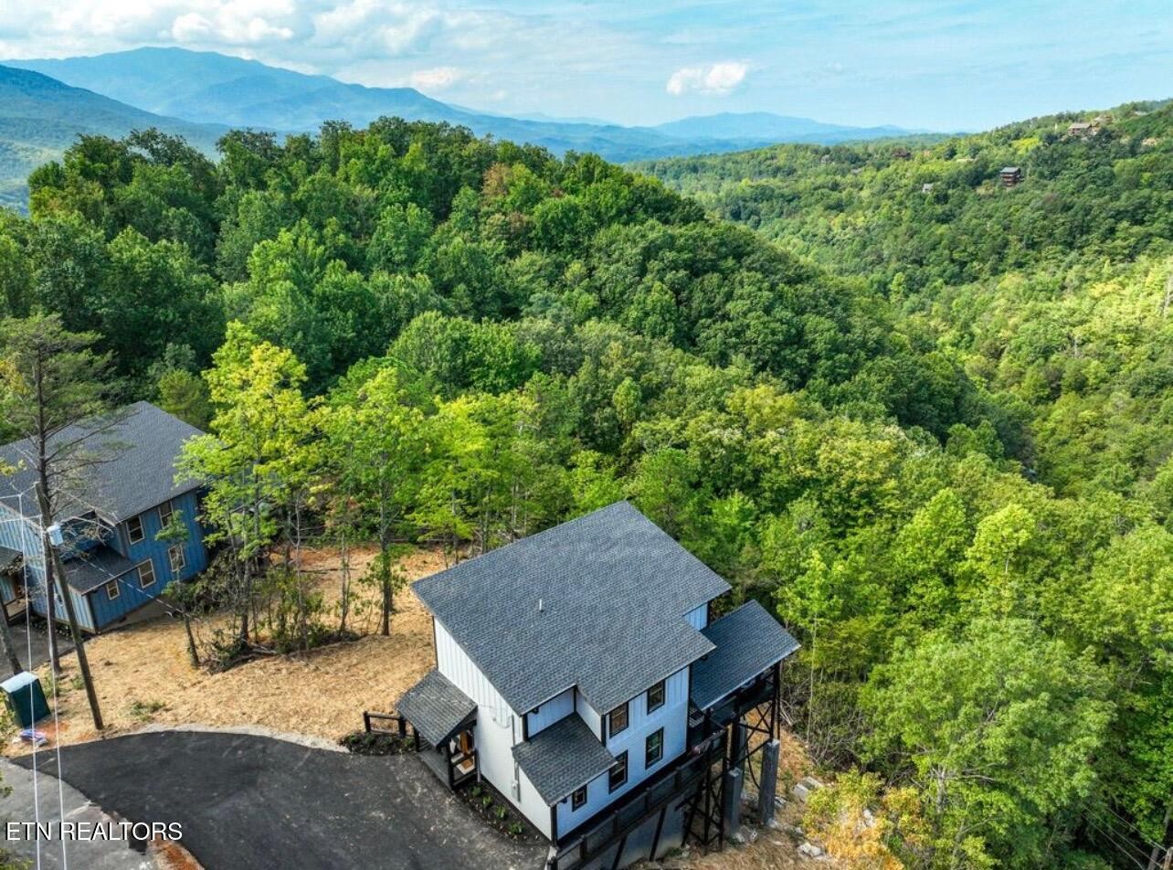 1113 Mathis Hollow Road Gatlinburg, TN 37738 - Photo 52 of 52