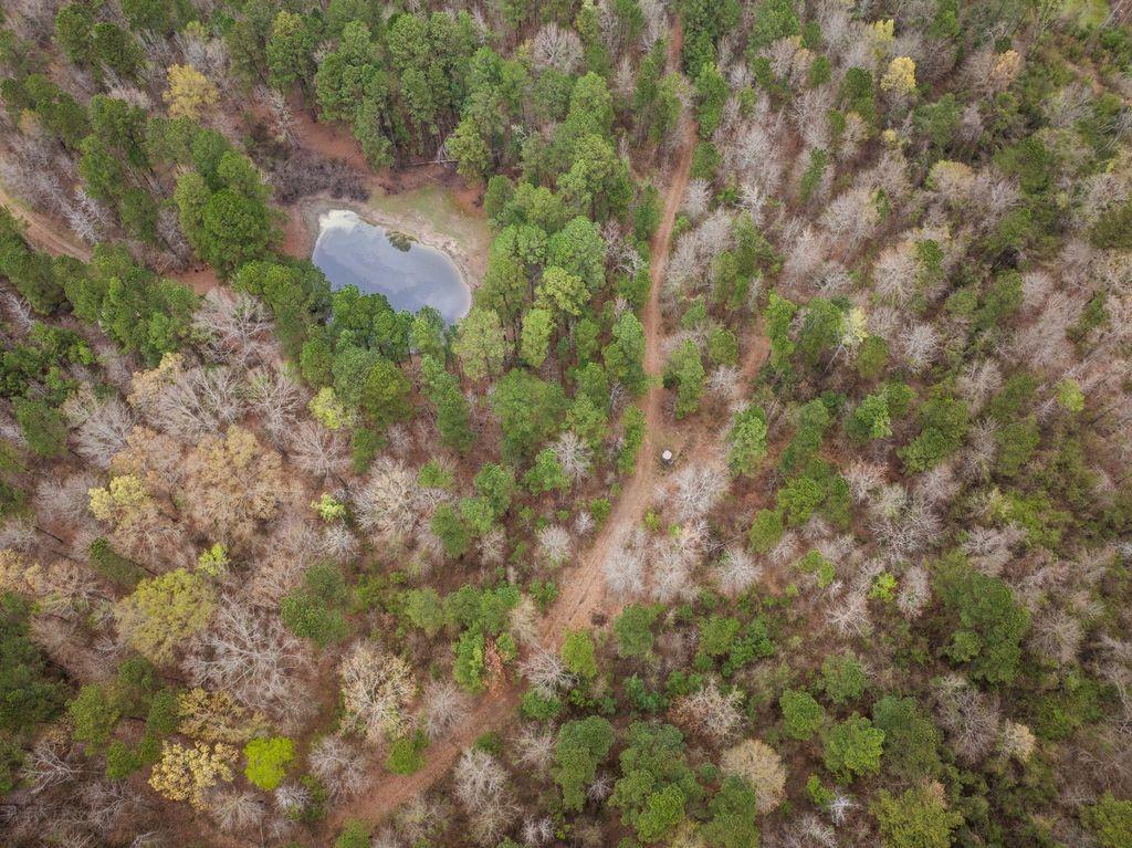 11 Rd Daingerfield Tx 75638 Road Daingerfield, TX 75638 - Photo 8 of 19