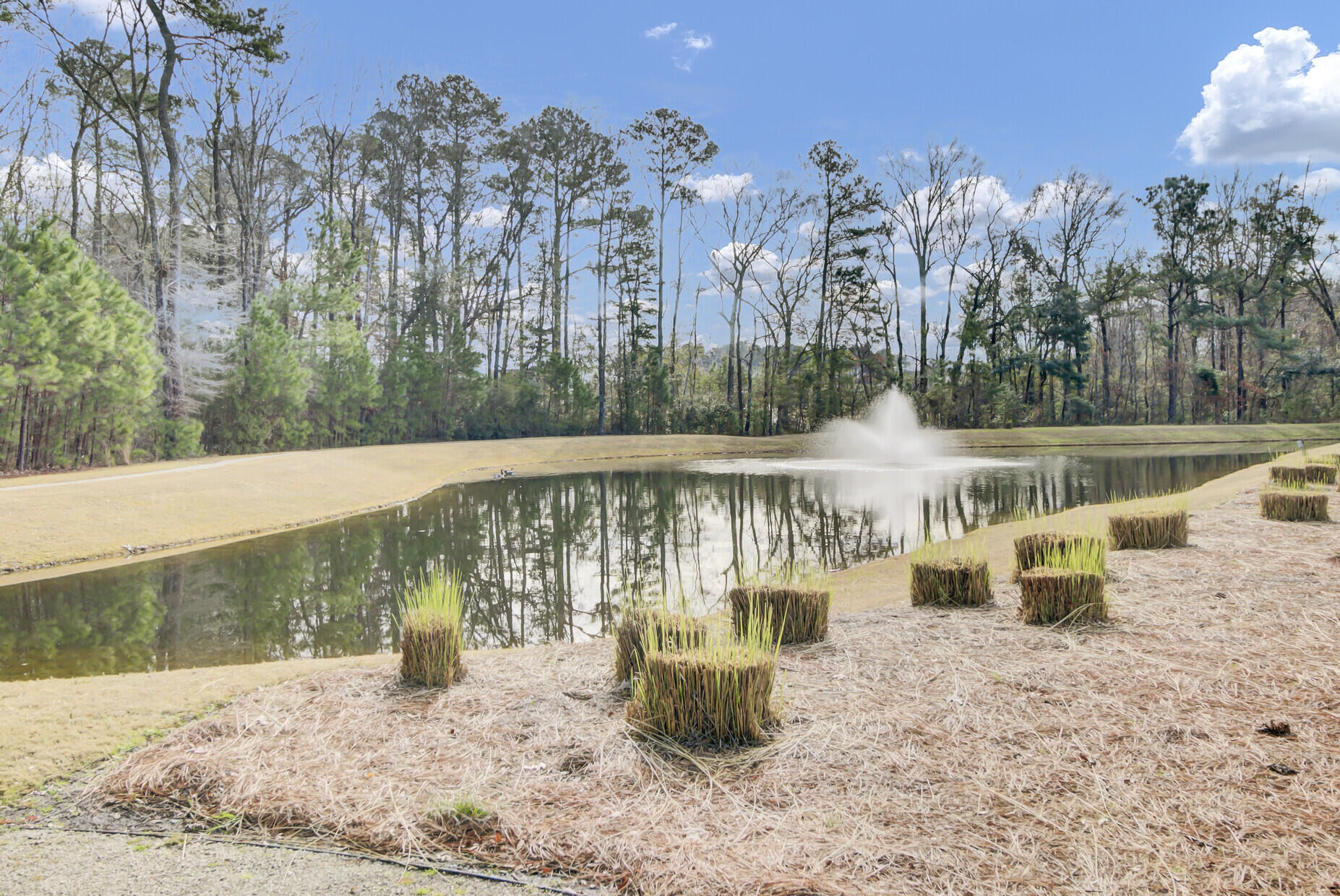 2011 Barn Swallow Road Summerville, SC 29483 - Photo 49 of 55 57_57_mls