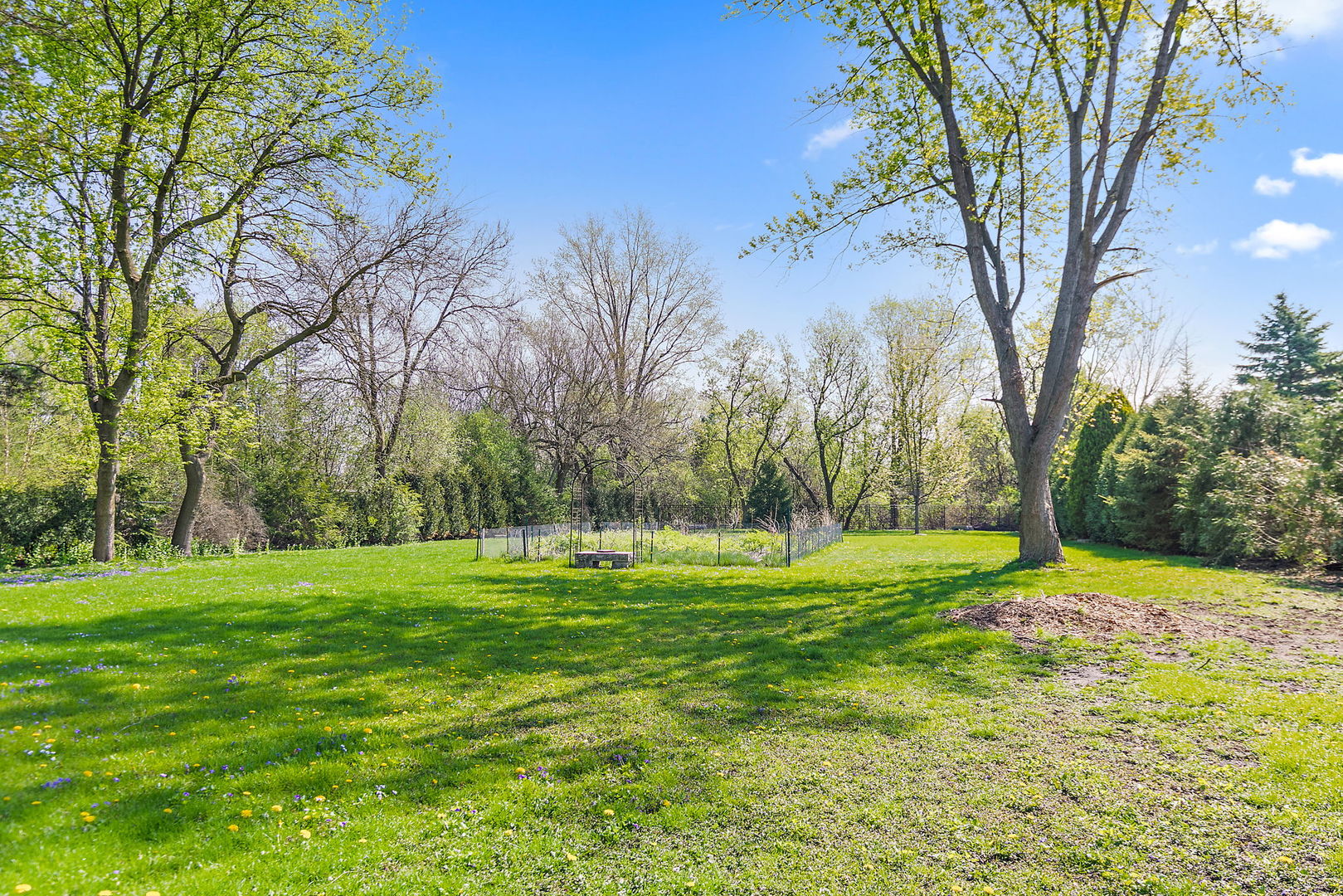 2803 North Vista Road Arlington Heights, IL 60004 - Photo 4 of 18