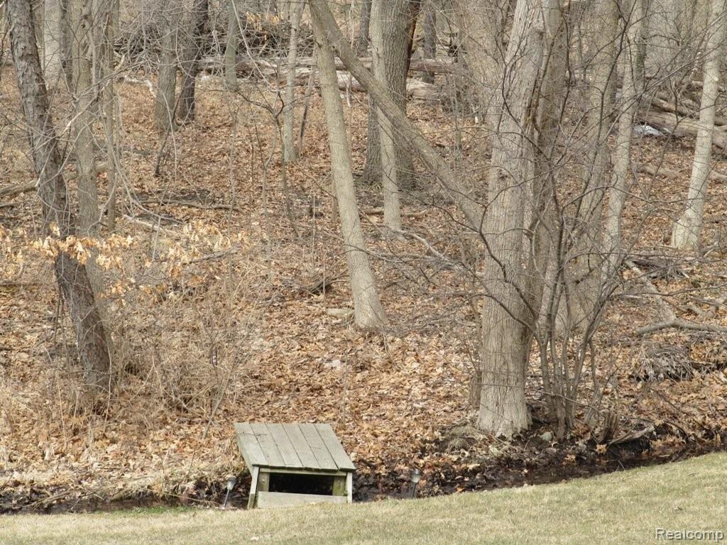 469 Willow Tree Lane Rochester, MI 48306 - Photo 24 of 25 Backyard Leading to Paint Creek