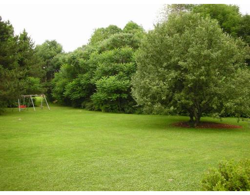 236 Worcester Road Princeton, MA 01541 - Photo 6 of 14 a view of a green yard