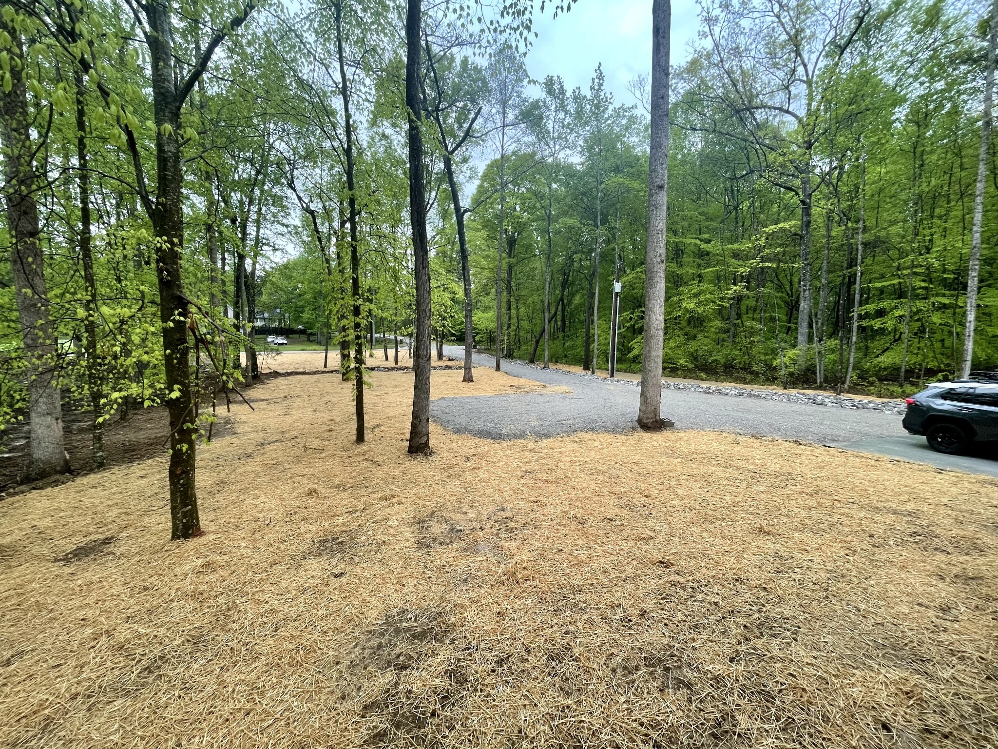 175 Park Road Rickman, TN 38580 - Photo 3 of 15 Gallery Image 3