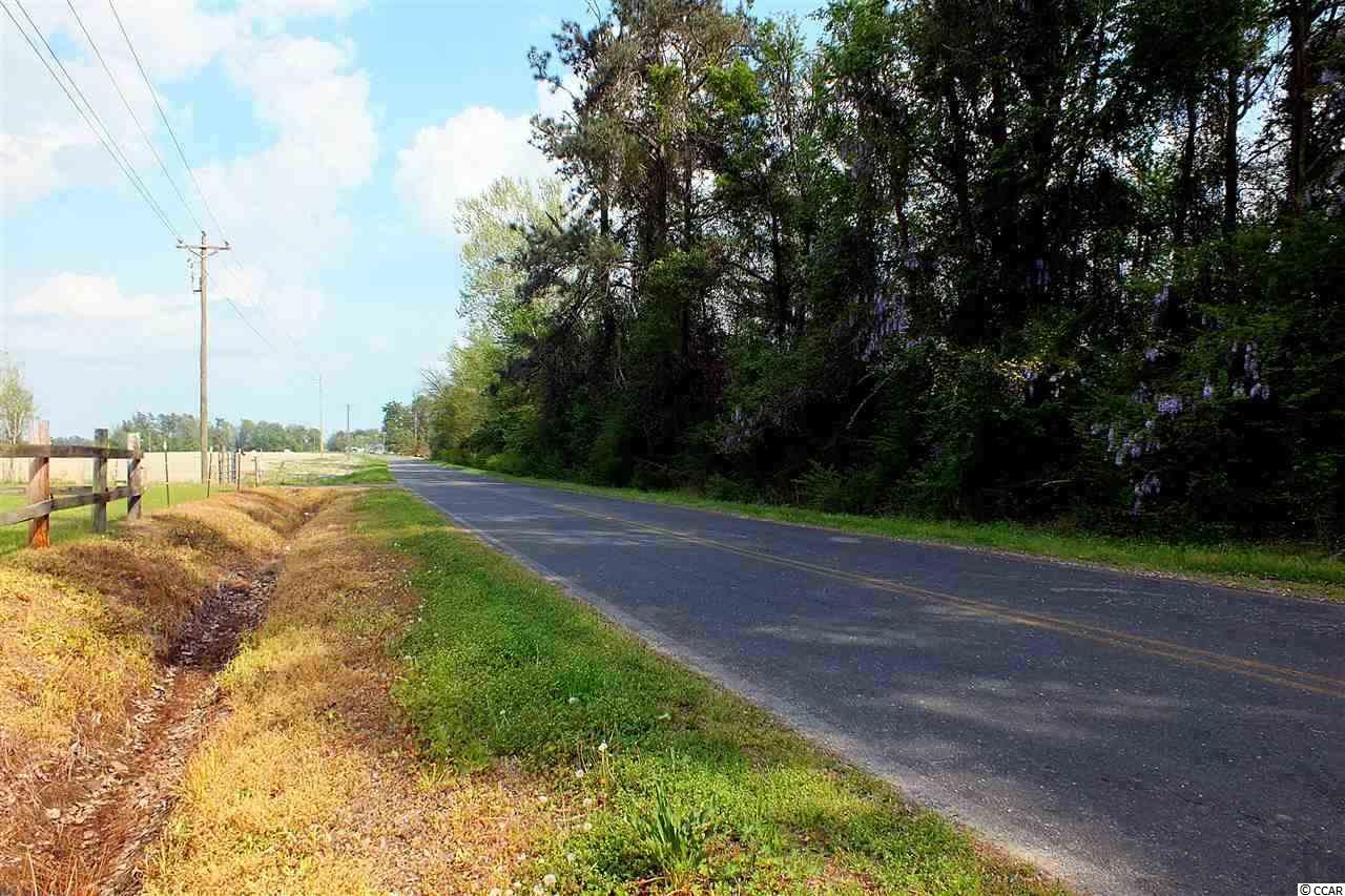 Lot 3 Winburn Road Galivants Ferry, SC 29544 - Photo 1 of 5 Gallery Image 1