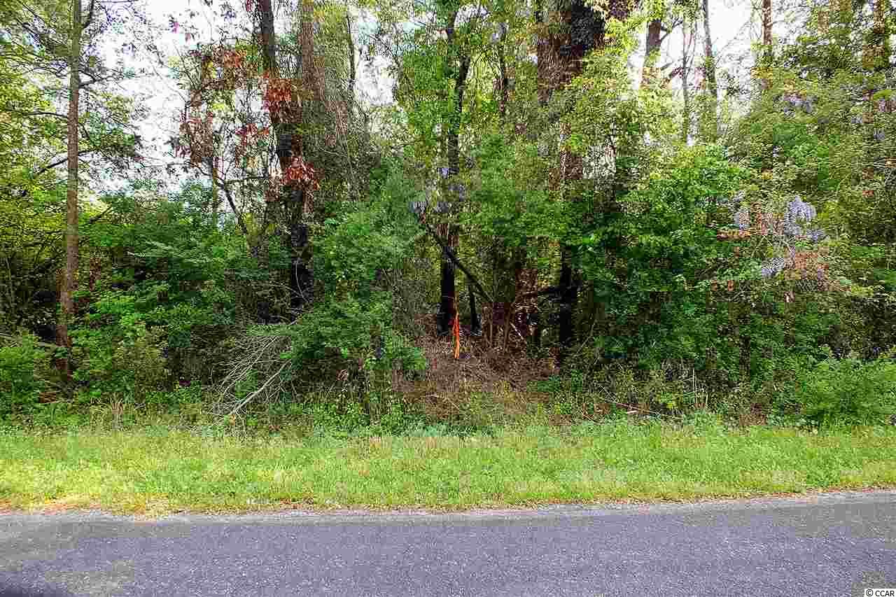 Lot 3 Winburn Road Galivants Ferry, SC 29544 - Photo 4 of 5 Gallery Image 4