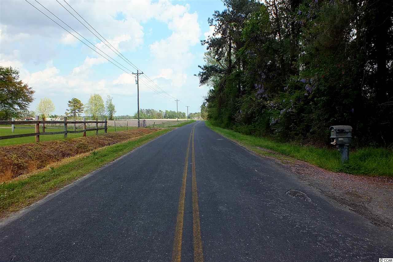 Lot 3 Winburn Road Galivants Ferry, SC 29544 - Photo 5 of 5 Gallery Image 5