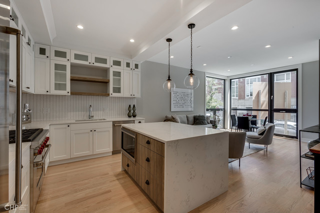 1350 North Claremont Avenue, Unit 1 Chicago, IL 60622 - Photo 4 of 18