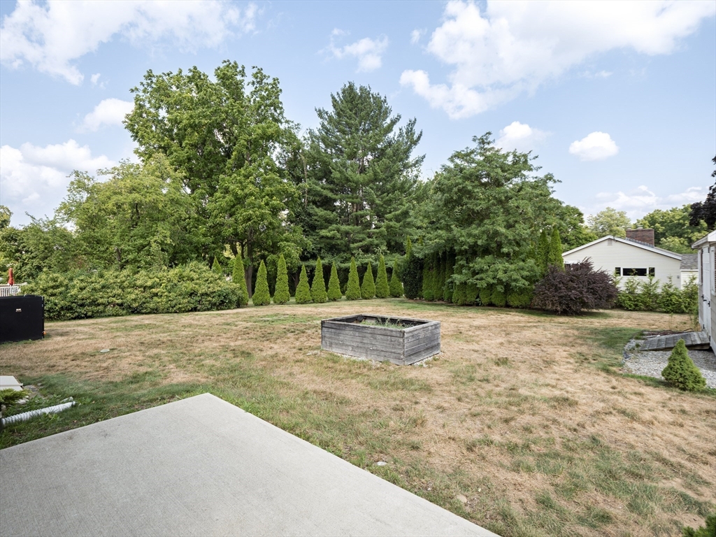 85 Dalton Road Chelmsford, MA 01824 - Photo 36 of 39 a view of a yard with potted plants