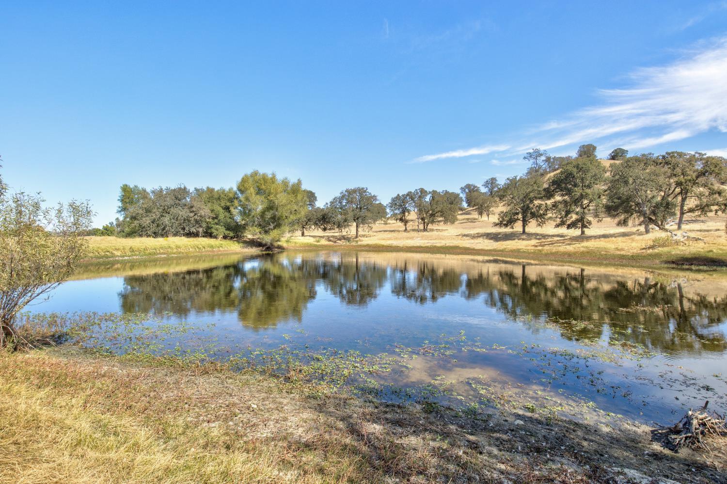 5065 Messing Road Valley Springs, CA 95252 - Photo 97 of 99 Gallery Image 97