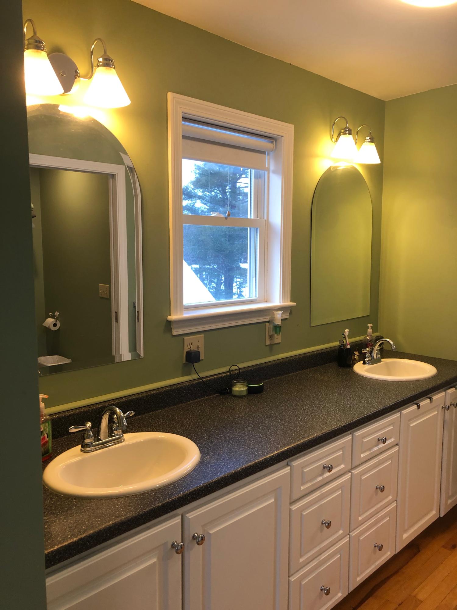 149 Old Town Road Hudson, ME 04449 - Photo 14 of 35 MBR double sinks