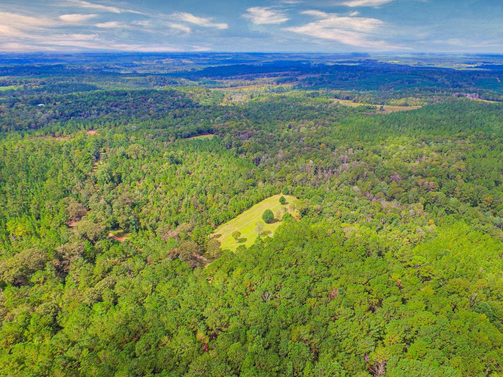 36705 Hall Road Red Level, AL 36474 - Photo 12 of 50 Gallery Image 12