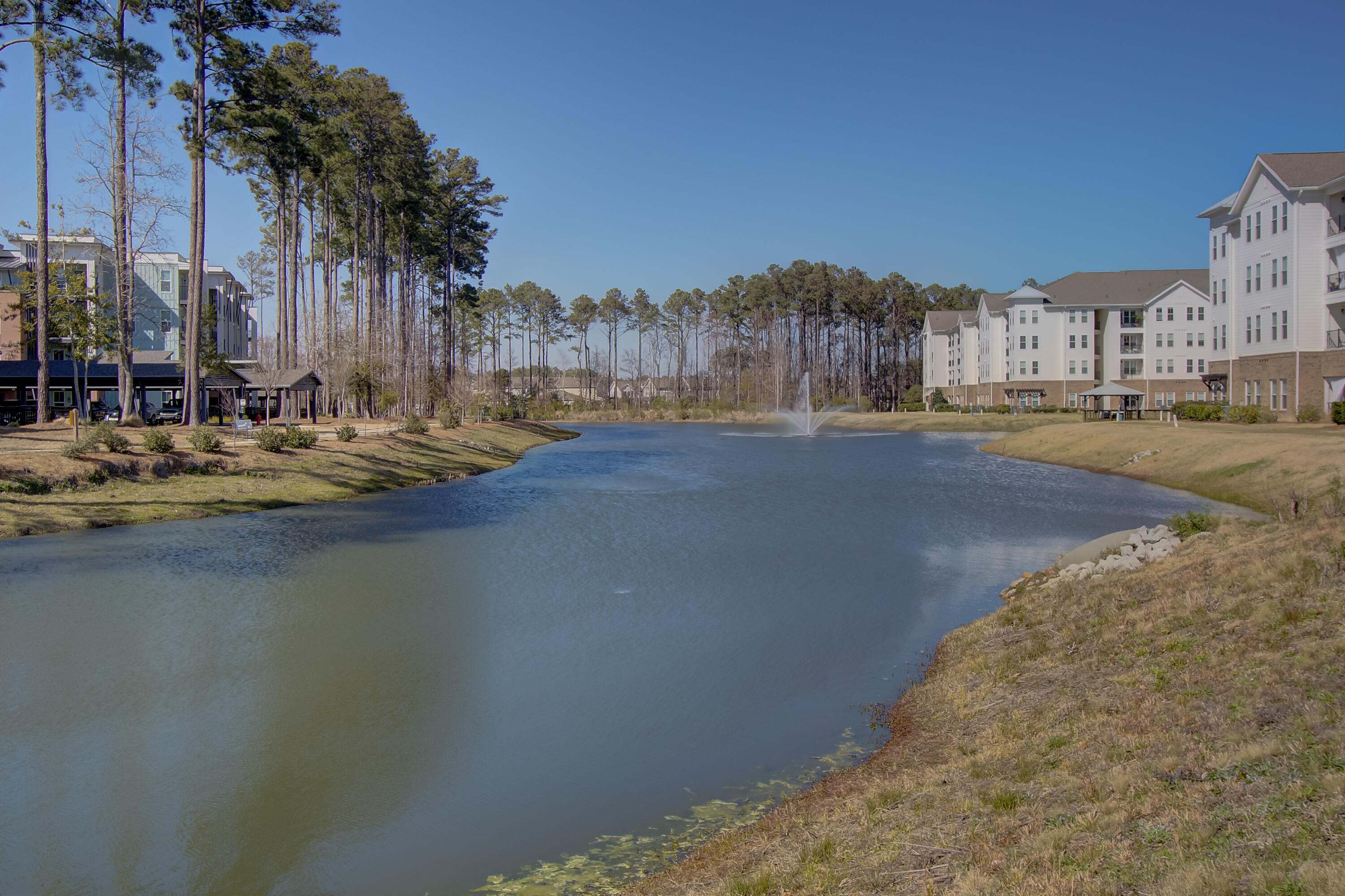 3522 Habenaria Road Mount Pleasant, SC 29466 - Photo 38 of 44 Stocked Pond with Fountain