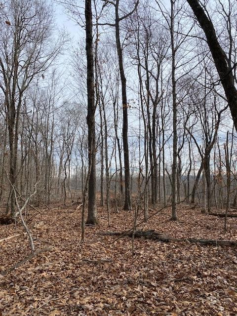 6 River Road Decatur, TN 37322 - Photo 5 of 8 a backyard of a house with lots of green space