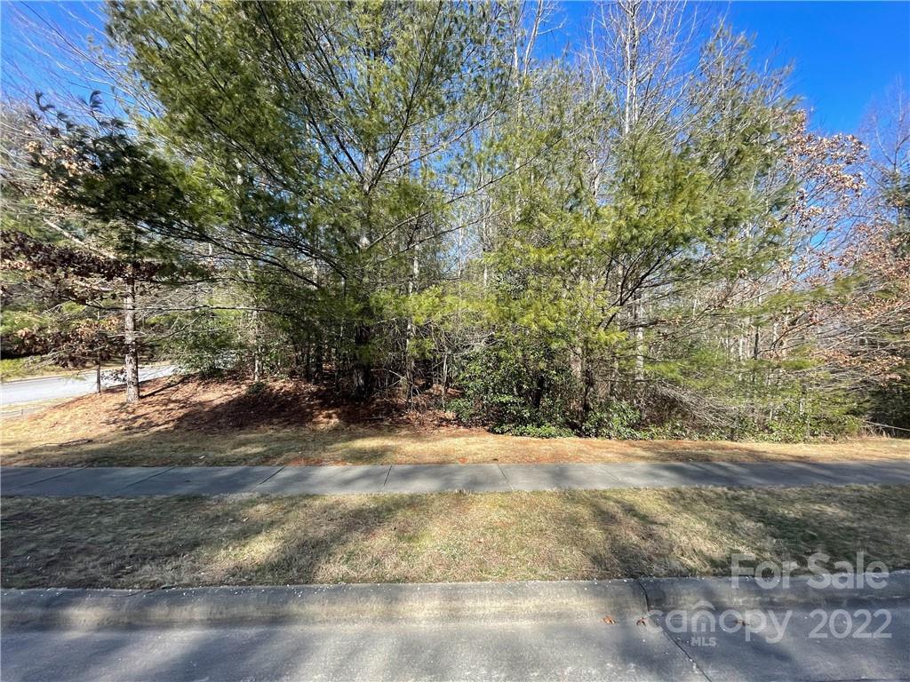 V30 Blueberry Hill Road Brevard, NC 28712 - Photo 2 of 21