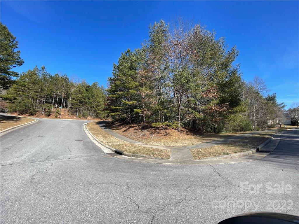 V30 Blueberry Hill Road Brevard, NC 28712 - Photo 3 of 21