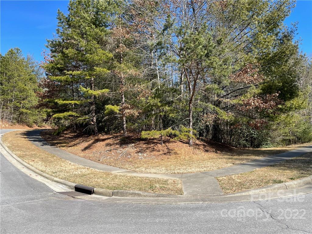 V30 Blueberry Hill Road Brevard, NC 28712 - Photo 4 of 21