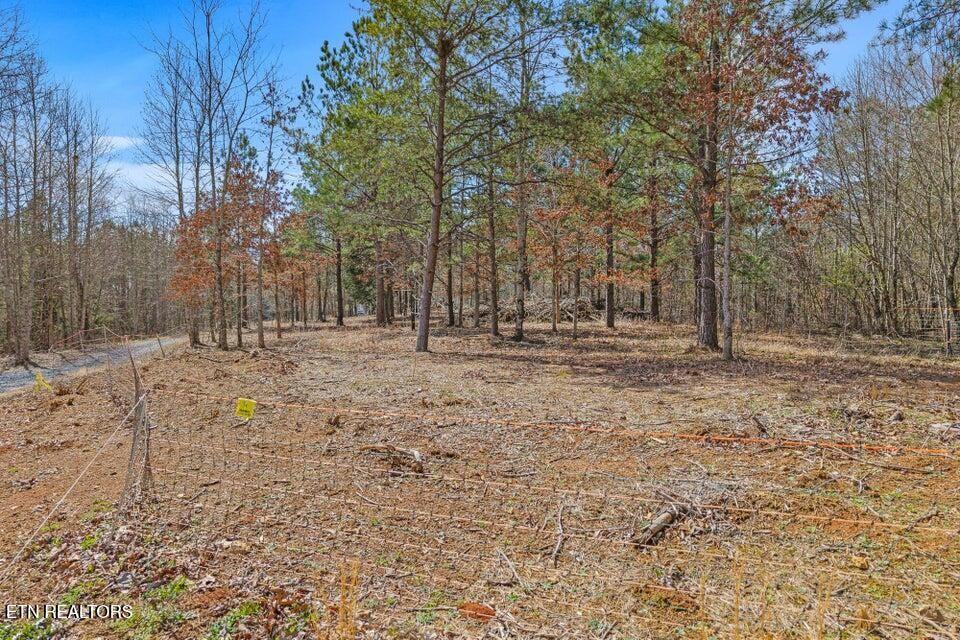 5110 South No Pone Valley Road Decatur, TN 37322 - Photo 29 of 42 Gallery Image 29