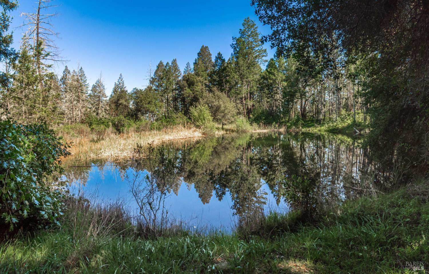 0 Dry Creek Road Napa, CA 94558 - Photo 62 of 98