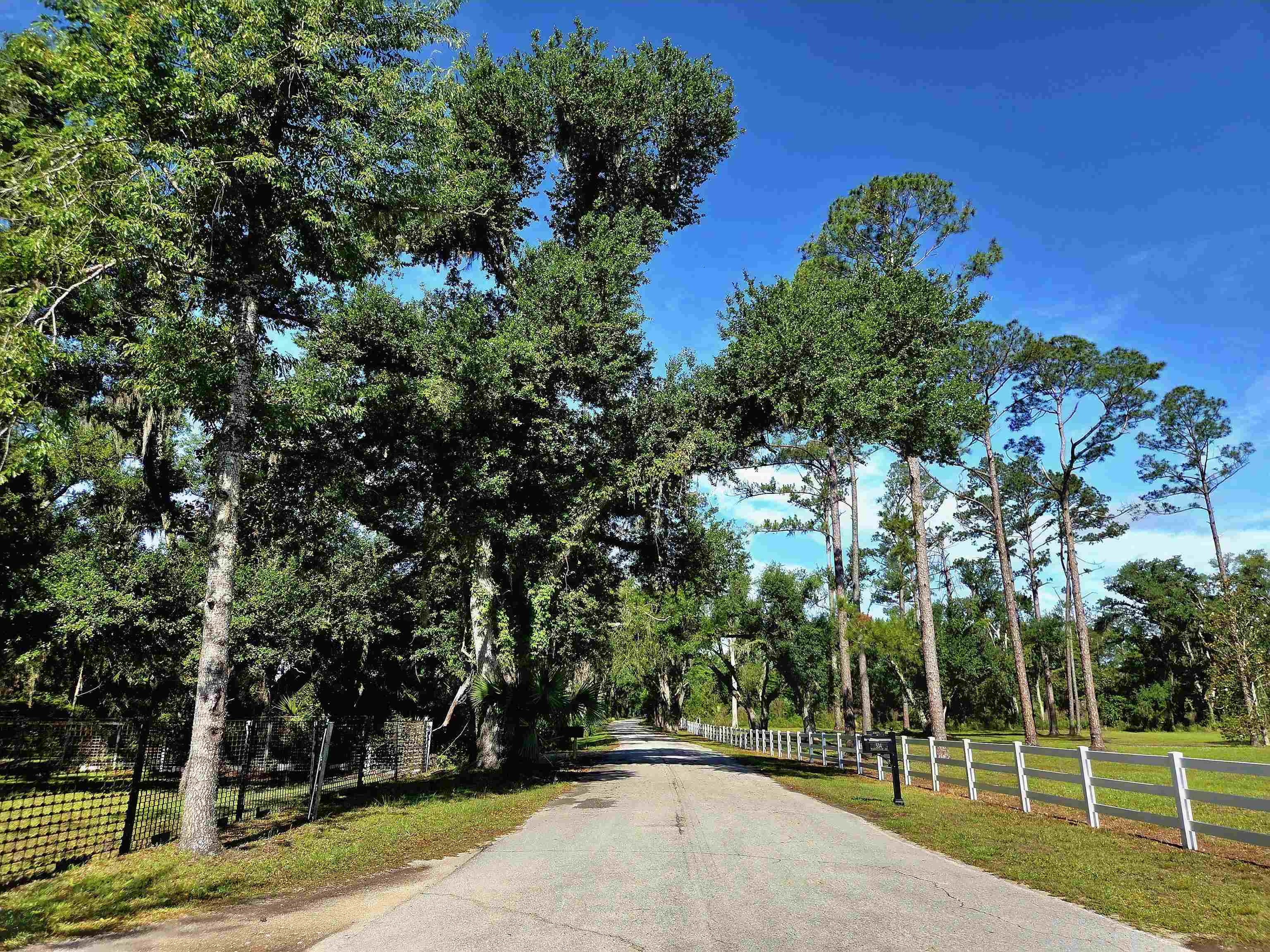 585 Mangum-Close Road Perry, FL 32347 - Photo 56 of 56