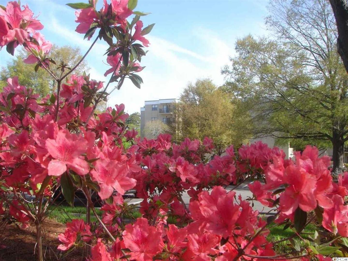 5001 Little River Road, Unit E504 Myrtle Beach, SC 29577 - Photo 20 of 26