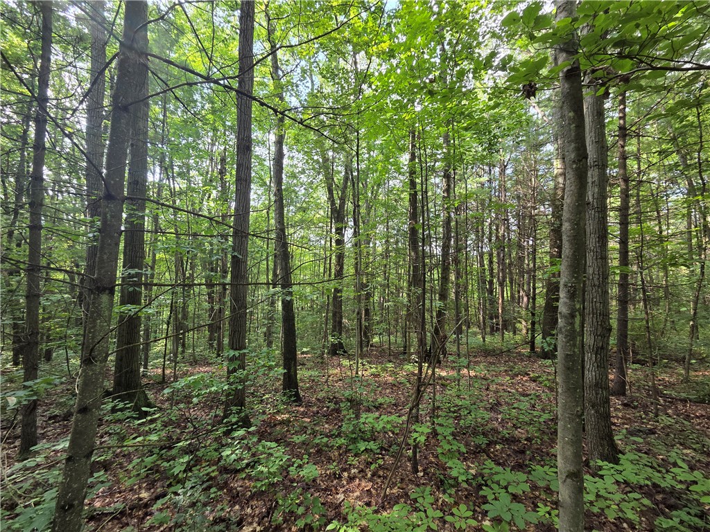 Bunnell Road Waverly, NY 14892 - Photo 42 of 49 Gallery Image 42