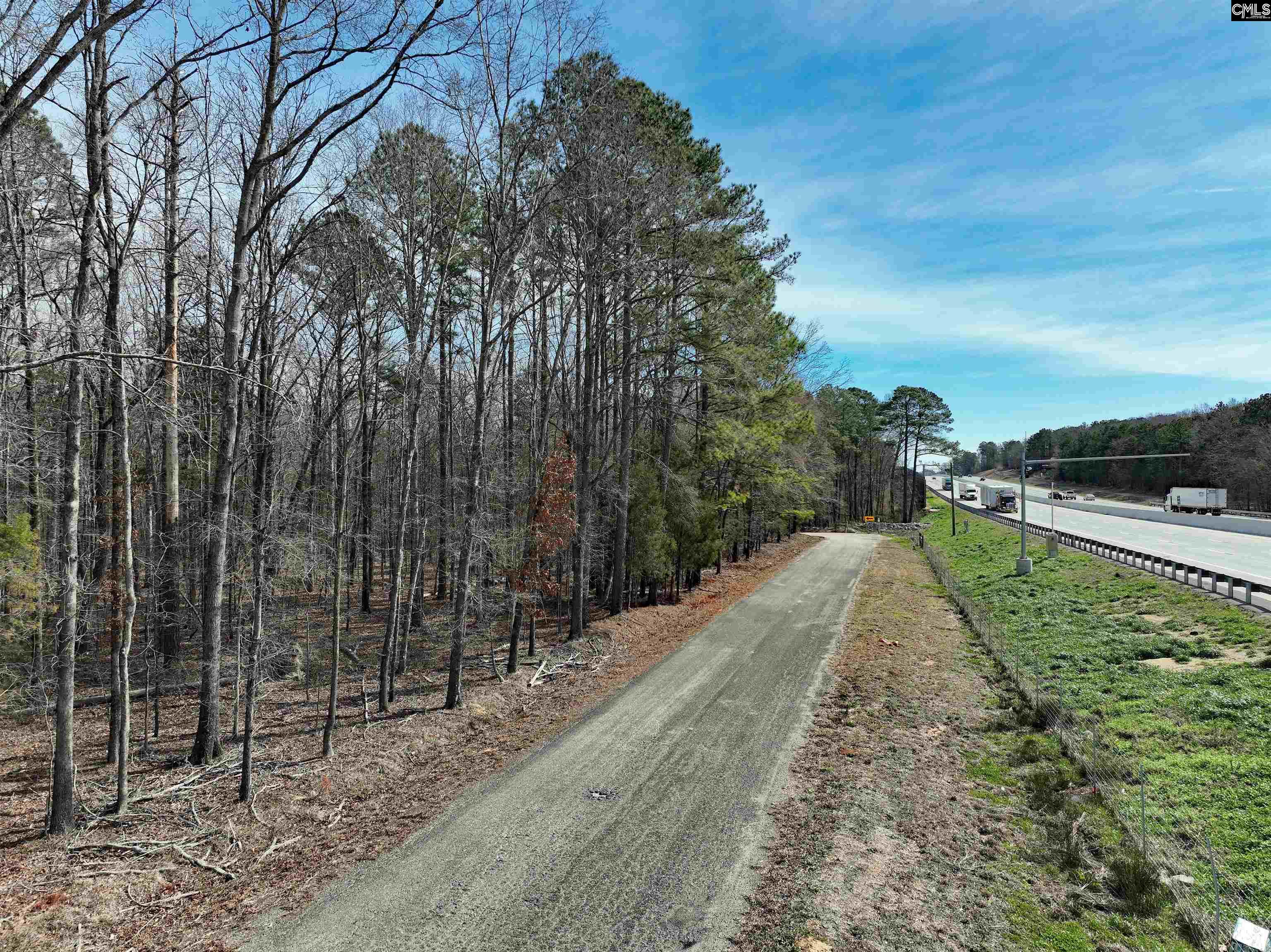 1160 Bookie Richardson Road Chapin, SC 29036 - Photo 2 of 13