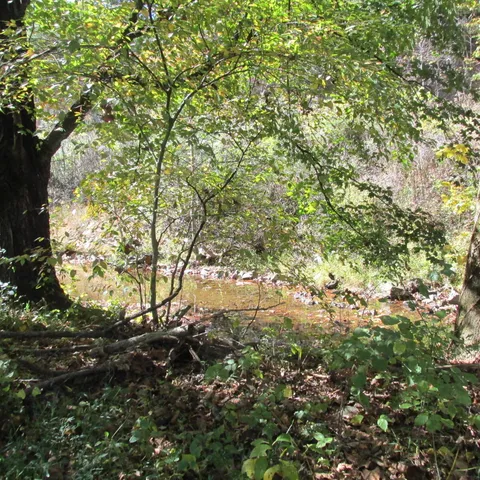 $235,000 | 2824 Beldon Drive, Salem, VA 24153