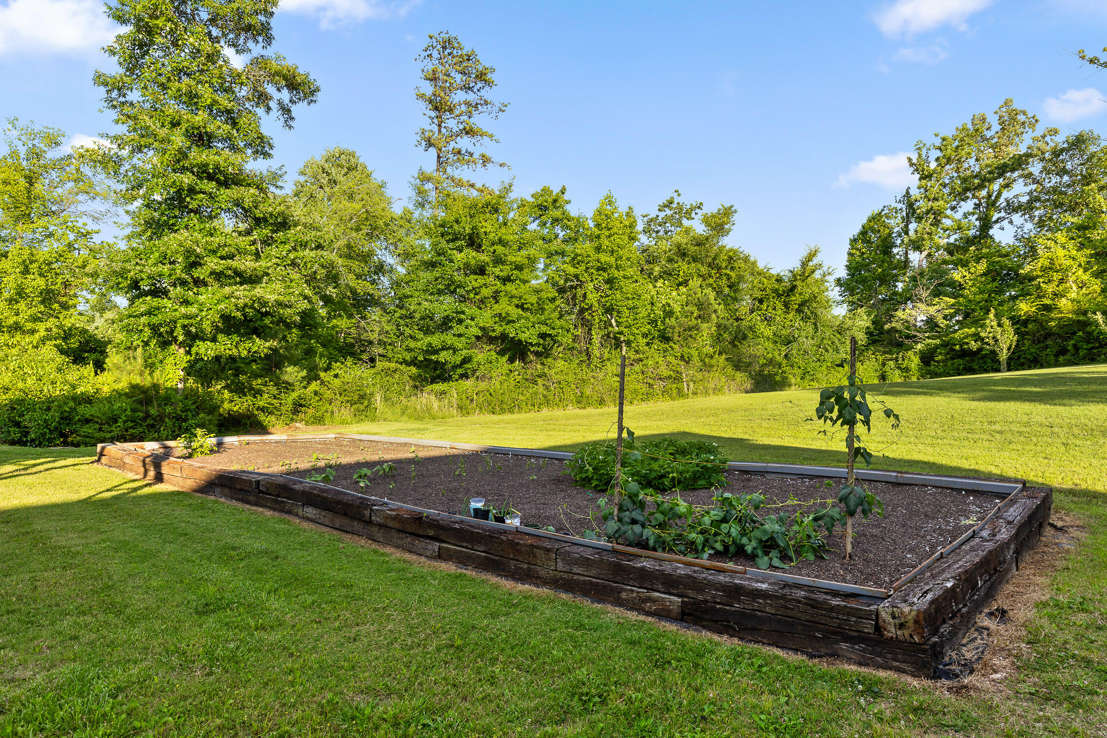 7611 Ziegler Road Chattanooga, TN 37421 - Photo 13 of 121 Ziegler-13
