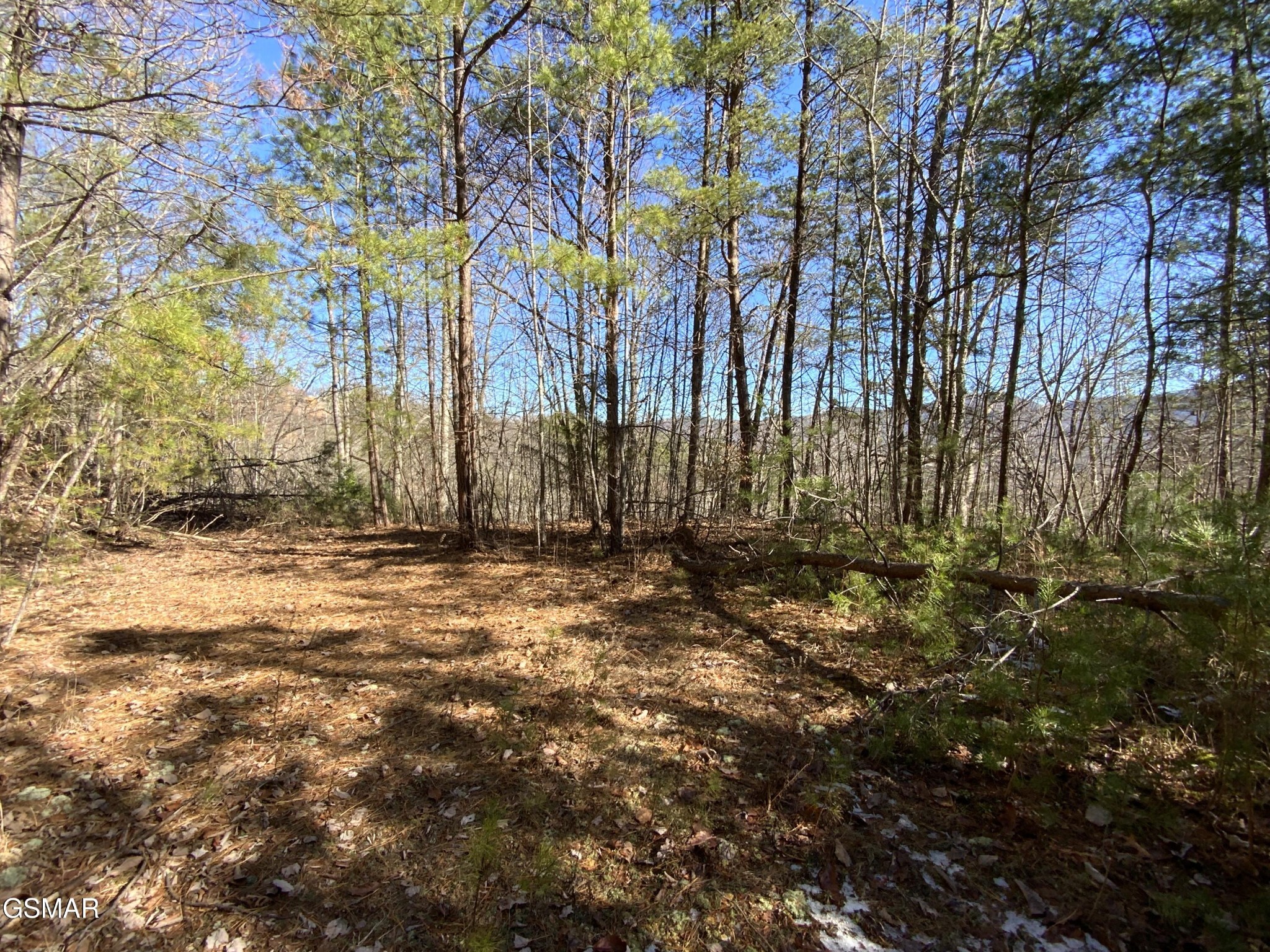 7 Hatcher Mountain Road Sevierville, TN 37862 - Photo 2 of 13