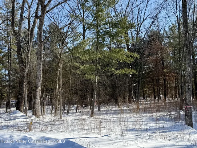 $55,000 | 17 Tappan Zee Court, Athens, NY 12015