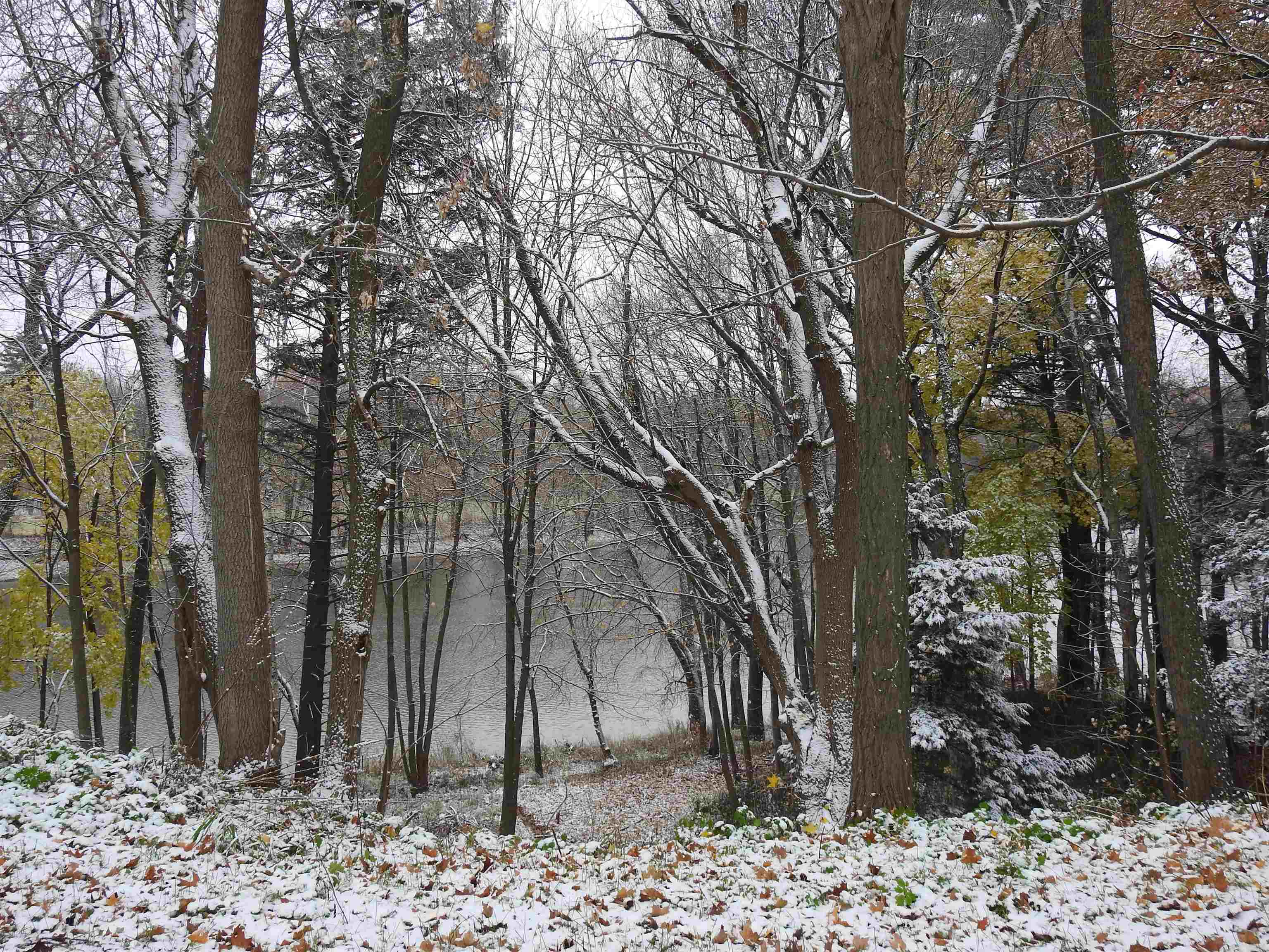 87 Spring Street Swanton, VT 05488 - Photo 4 of 33