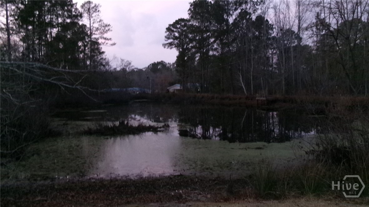 17827 Highway 129 Claxton, GA 30417 - Photo 3 of 20 Pond
