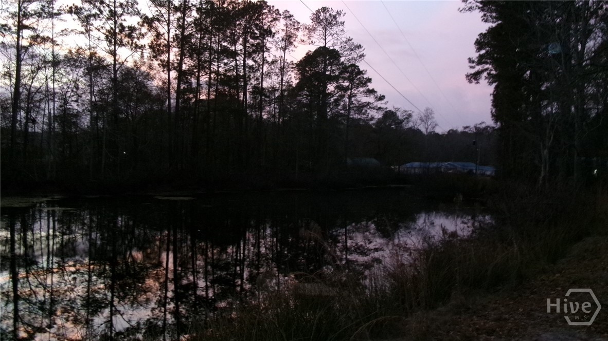 17827 Highway 129 Claxton, GA 30417 - Photo 4 of 20 Pond