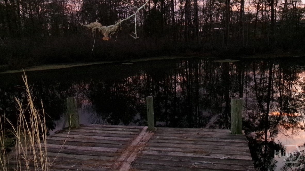 17827 Highway 129 Claxton, GA 30417 - Photo 5 of 20 Pond