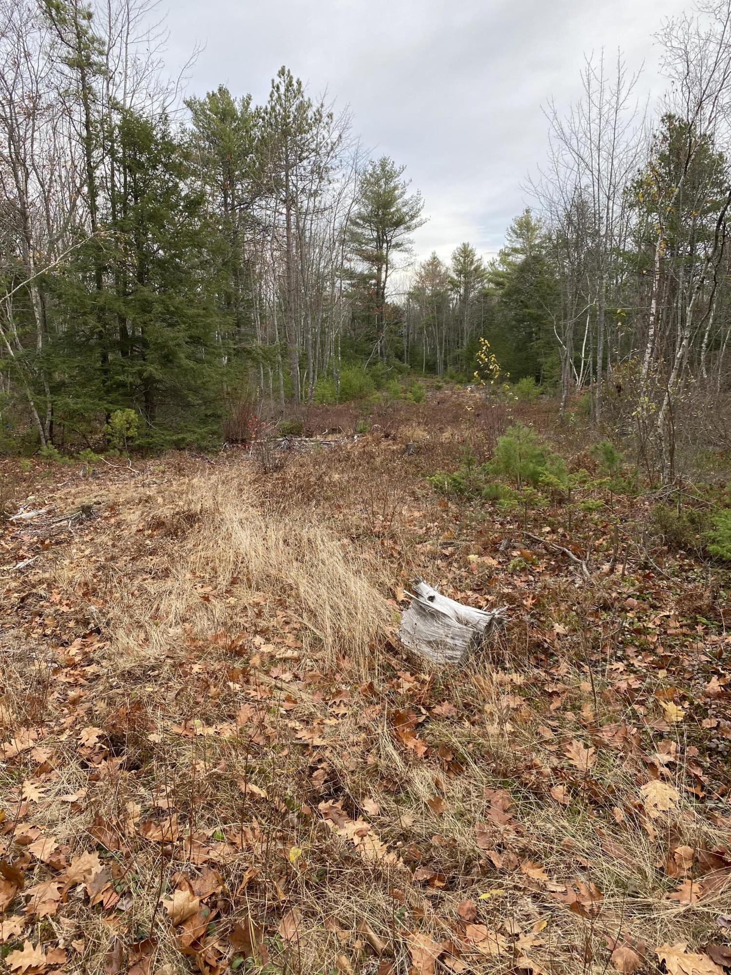 Lot 8 Binnacle Lane Road Kennebunkport, ME 04046 - Photo 5 of 6 IMG_0877