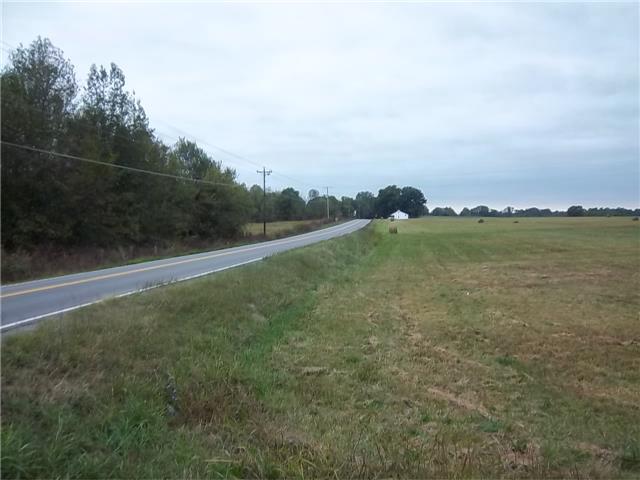 0 Frank Abernathy Road Greenbrier, TN 37073 - Photo 12 of 20 Gallery Image 12