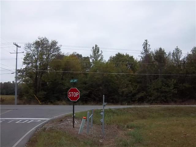 0 Frank Abernathy Road Greenbrier, TN 37073 - Photo 13 of 20 Gallery Image 13