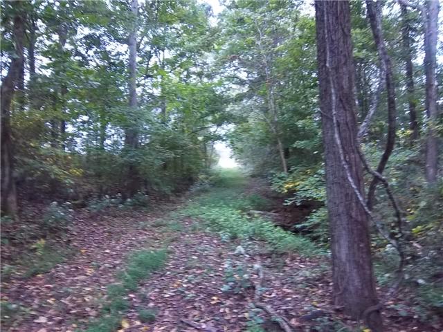 0 Frank Abernathy Road Greenbrier, TN 37073 - Photo 17 of 20 Gallery Image 17