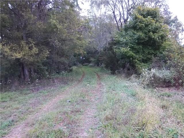 0 Frank Abernathy Road Greenbrier, TN 37073 - Photo 20 of 20 Gallery Image 20