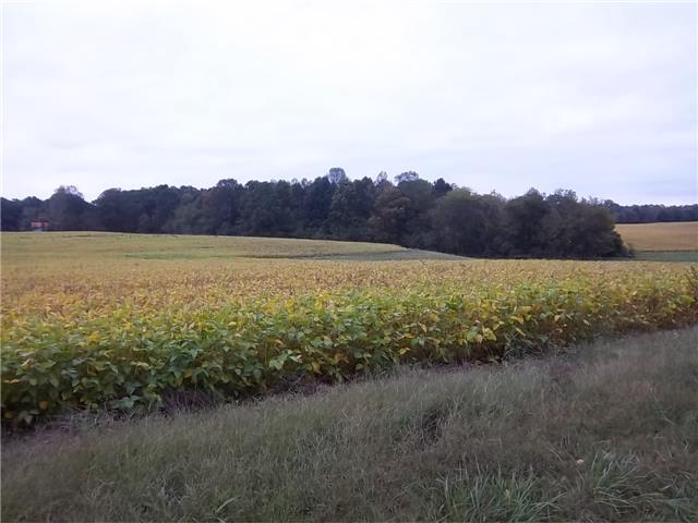 0 Frank Abernathy Road Greenbrier, TN 37073 - Photo 2 of 20 Gallery Image 2