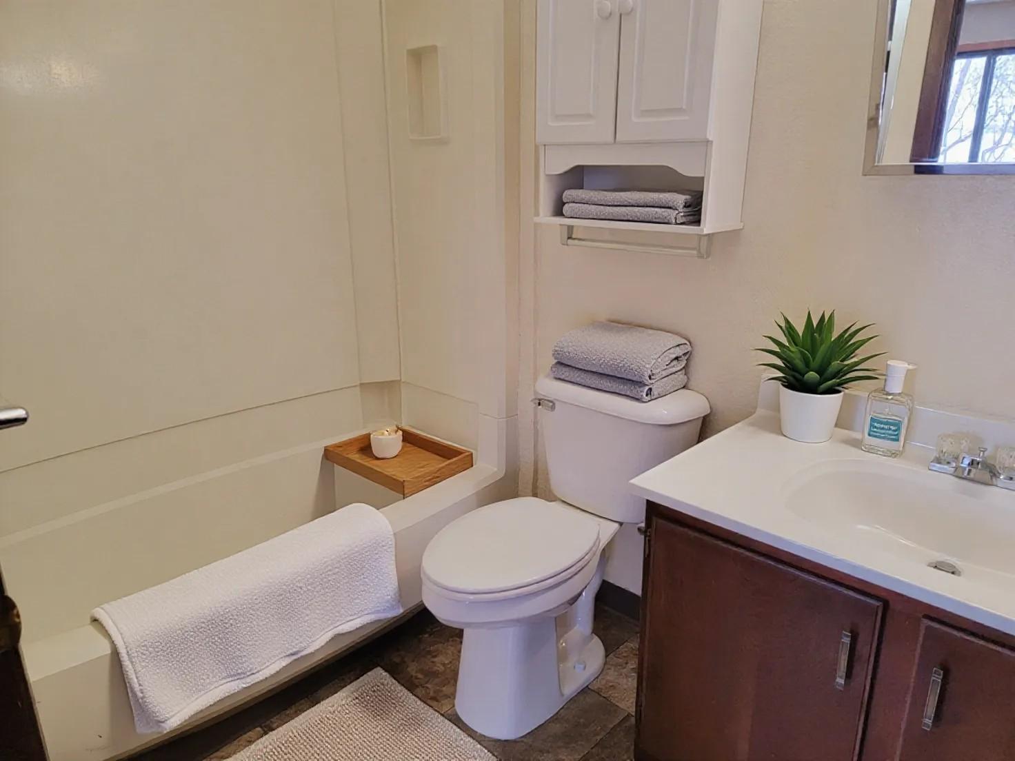 320 1st Street, Unit 1 Clinton, MN 56225 - Photo 11 of 13