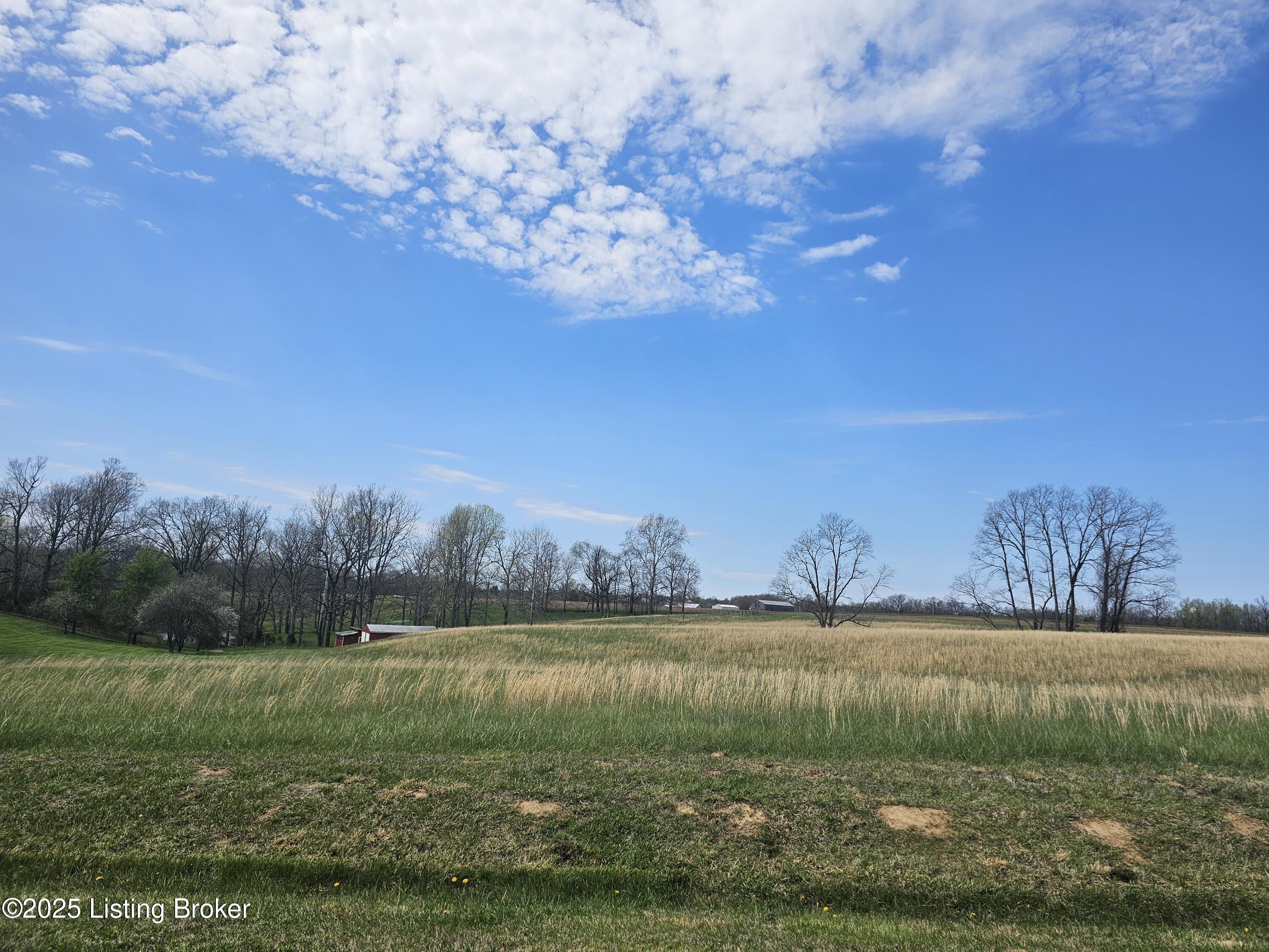 813 Joyce Ridge Road Milton, KY 40045 - Photo 35 of 67 view_rd_right_field